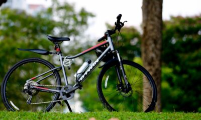 a bicycle parked in the grass near a tree