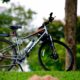 a bicycle parked in the grass near a tree