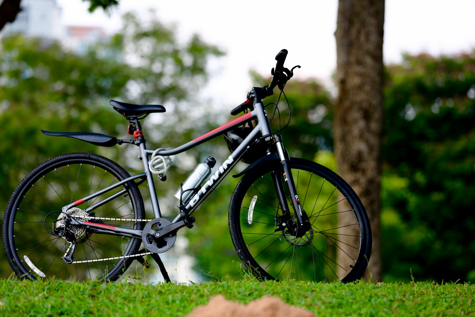 a bicycle parked in the grass near a tree